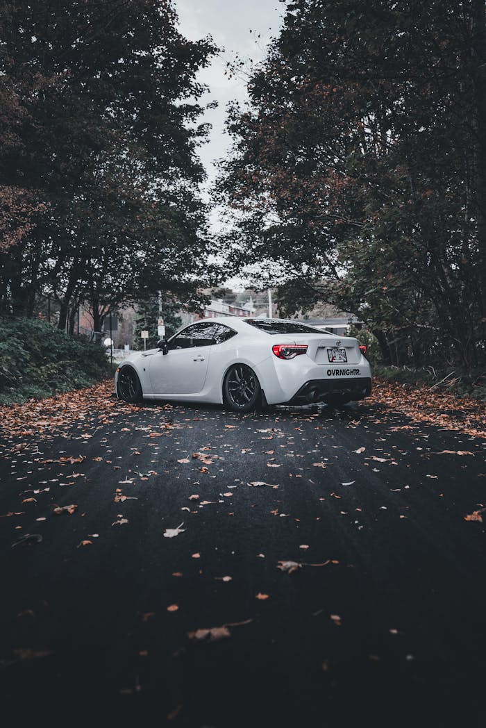 White sports car parked on a leaf-covered road surrounded by trees during autumn day.